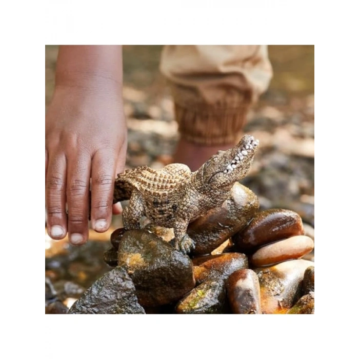 Gerçekçi Amerikan Timsahı Figürü