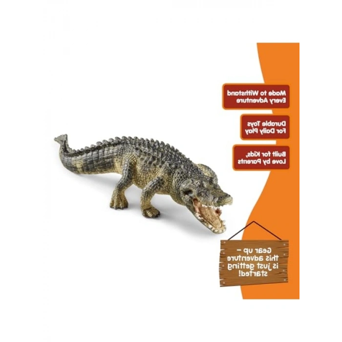 Gerçekçi Amerikan Timsahı Figürü