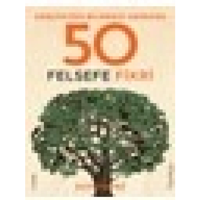 Gerçekten Bilmeniz Gereken 50 Felsefe Fikri (Ciltli) - Ben Dupre