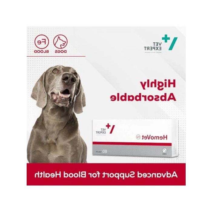 GeriatiVet Kedi Sağlığı İçin Özel Ürün