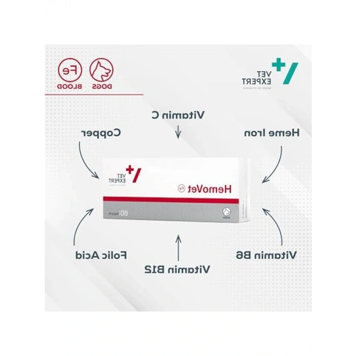 GeriatiVet Kedi Sağlığı İçin Özel Ürün