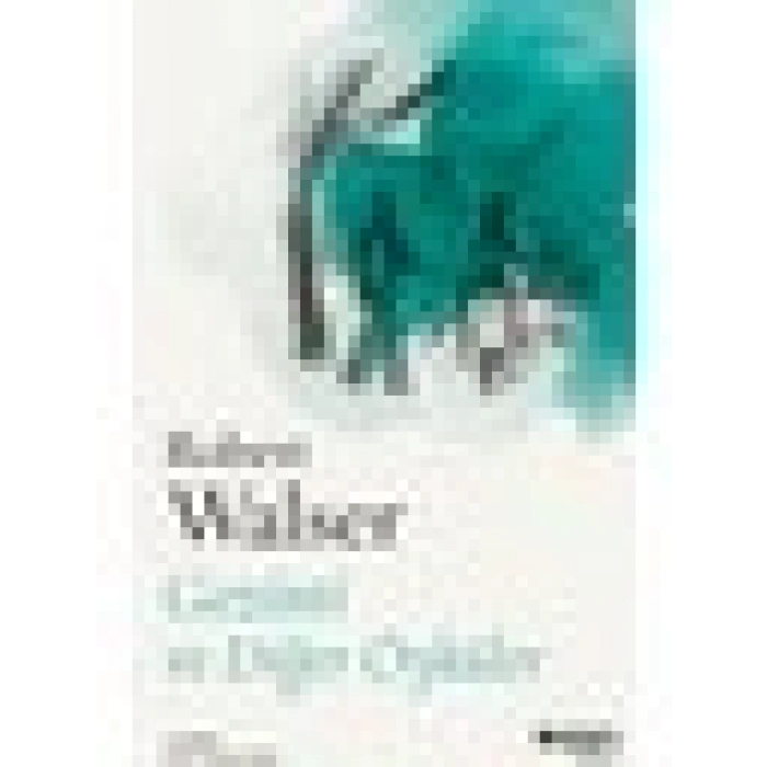 Gezinti ve Diğer Öyküler - Robert Walser