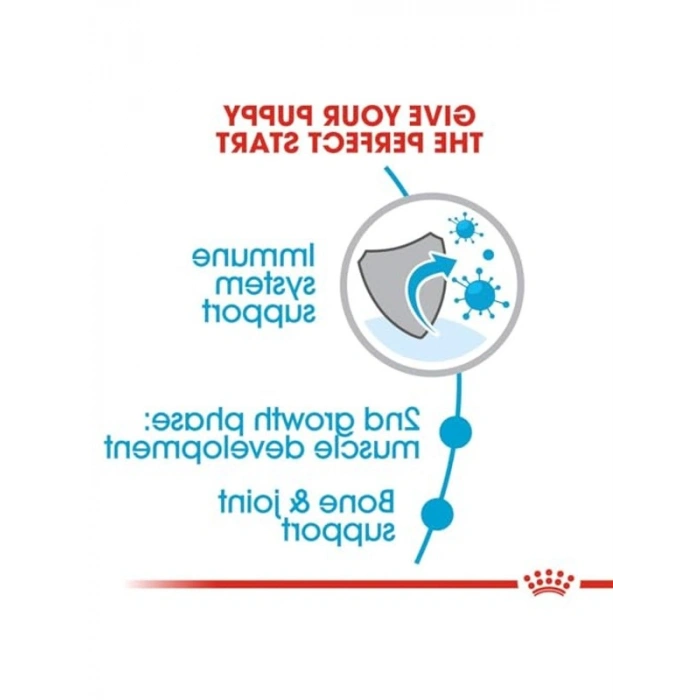 Giant Junior Köpek Maması, 15 Kg Besin Değeri