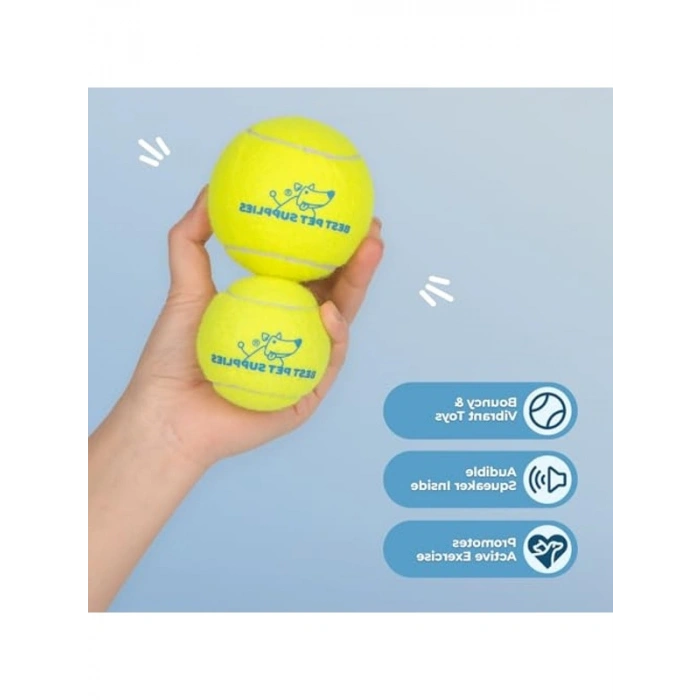 Gıcırtılı Tenis Oyuncakları, 4lü Paket, İnteraktif Oyun