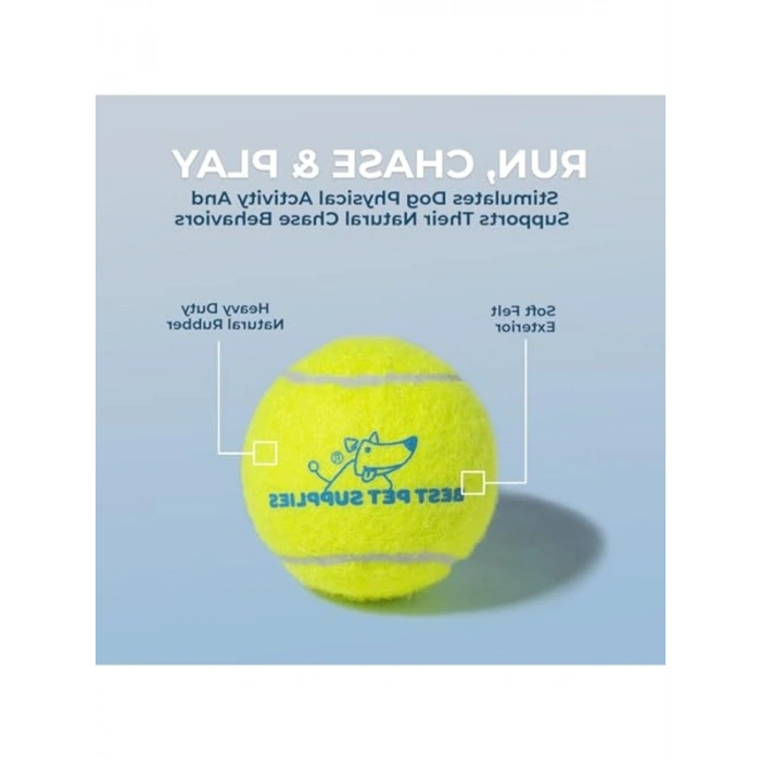 Gıcırtılı Tenis Oyuncakları, 4lü Paket, İnteraktif Oyun