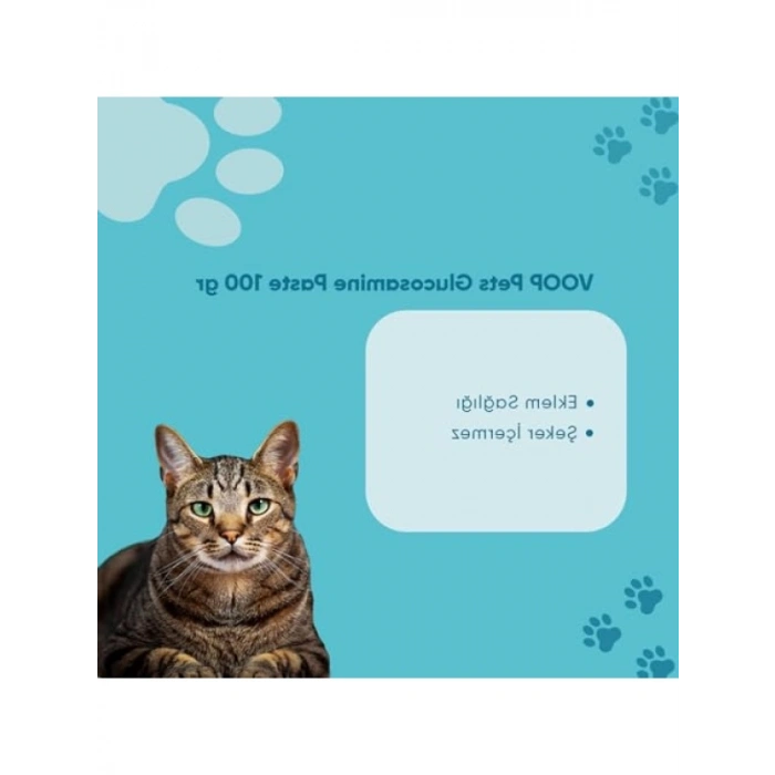 Glukozamin Tamamlayıcı Yem - 300 gram