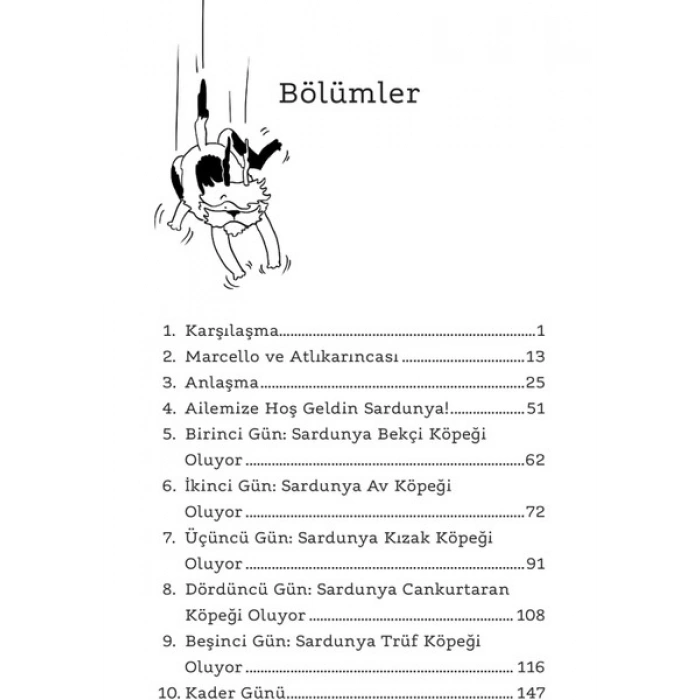 Gökten Düşen Köpek - Fabrizio Altieri - Sara Gavioli