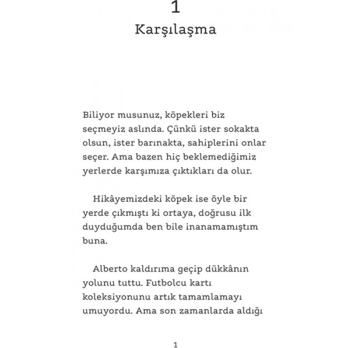 Gökten Düşen Köpek - Fabrizio Altieri - Sara Gavioli