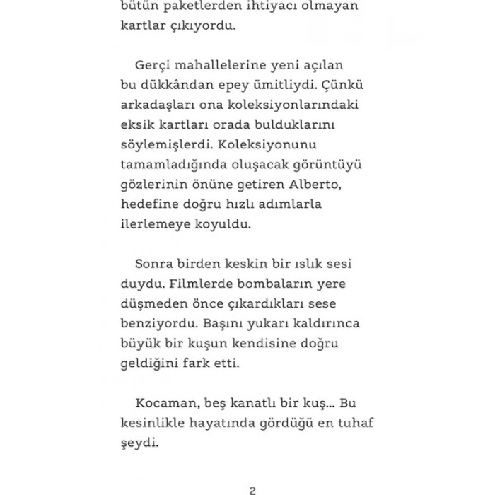Gökten Düşen Köpek - Fabrizio Altieri - Sara Gavioli
