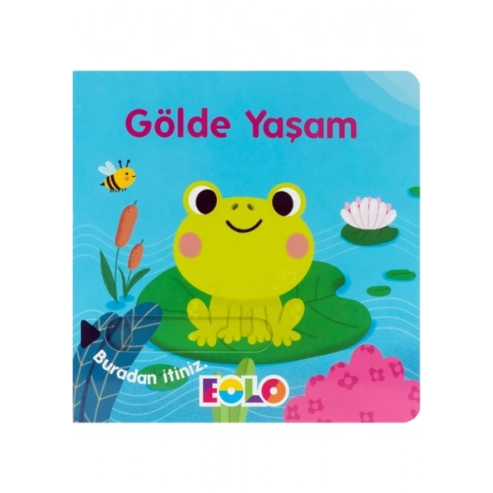 Gölde Yaşam (Hareketli Kitap & Kaydır Gör)