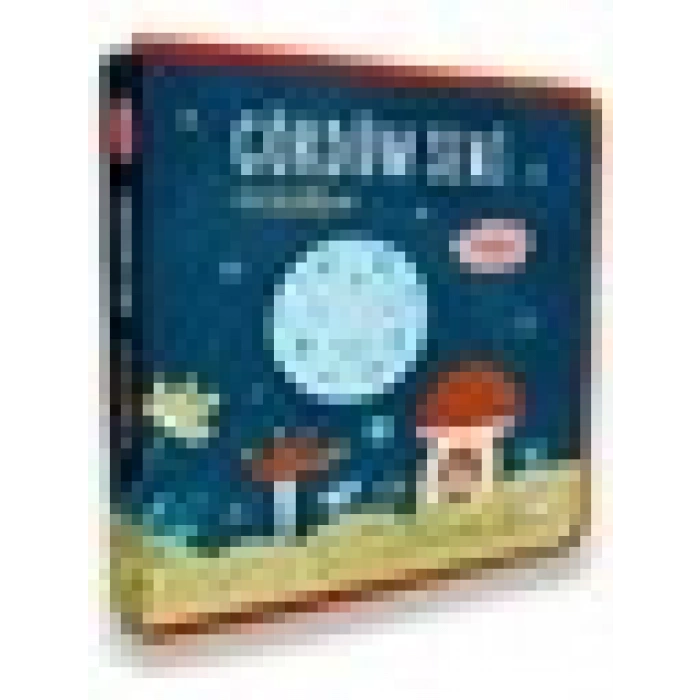 Gördüm Seni - Hislerim (Hareketli ve Keçeli Kitap)- Viktoriia Samsonova