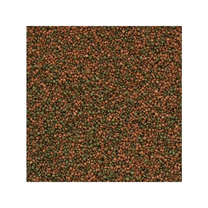 Granül Balık Yemi - Tropical Cichlid 100 gr