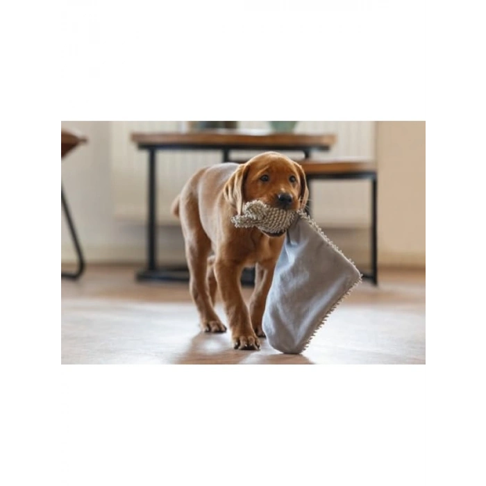 Gri Peluş Yavru Köpek Oyuncağı, 37x28x4 cm