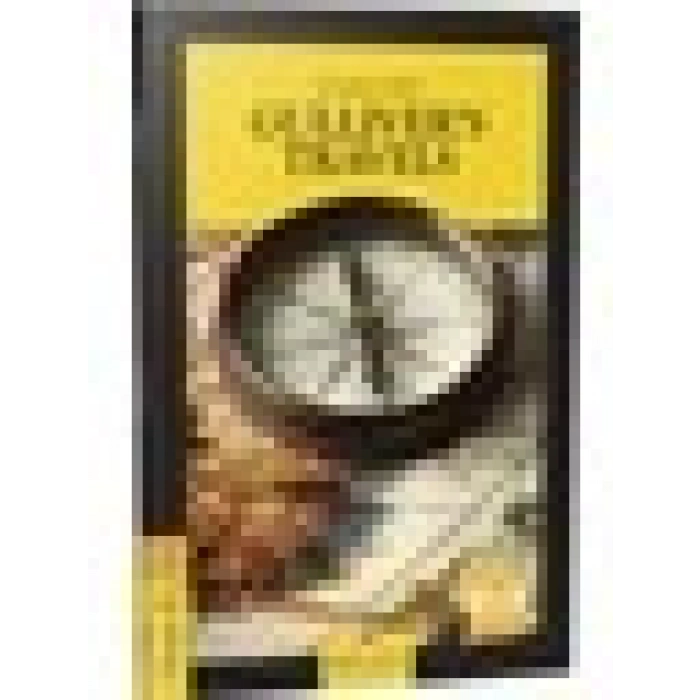 Gullivers Travels - Stage 2 - İngilizce Hikaye