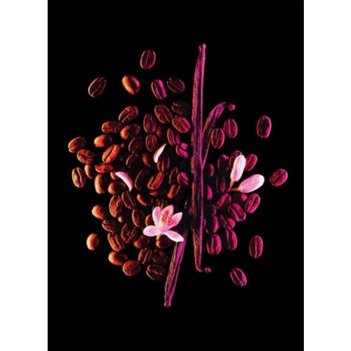 Gün Boyu Ferahlık Sağlayan Parfüm - 150 ml