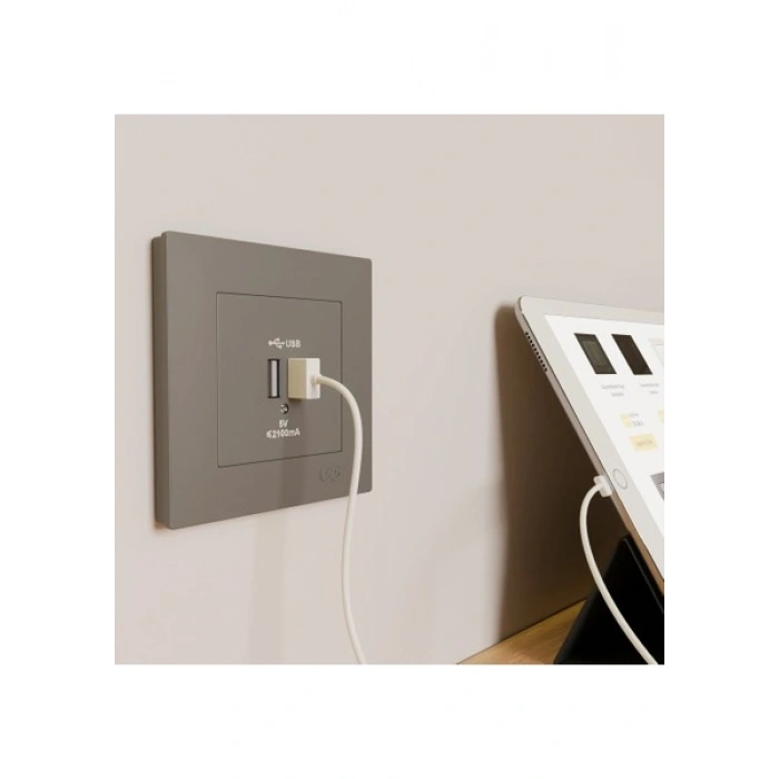 Günsan Elektrik Eqona Füme 2 USB Çıkışlı Şarj Prizi 5V 2.1A