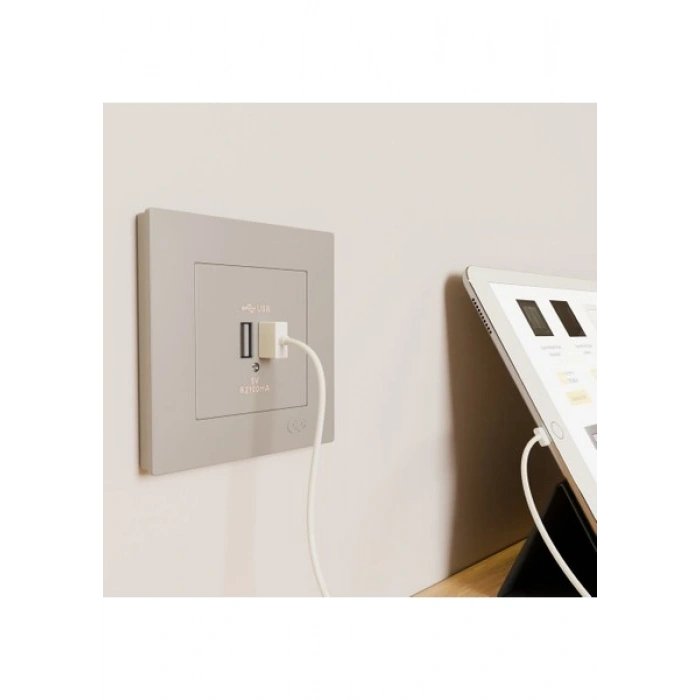 Günsan Elektrik Eqona Gümüş 2 USB Çıkışlı Şarj Prizi 5V 2.1A