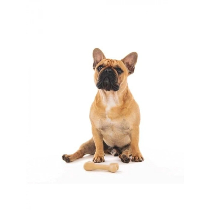 Güvenli Malzemeden Üretilmiş S Boyutunda Köpek Oyuncağı