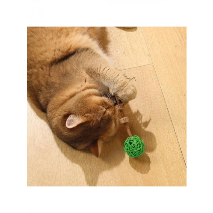 Güvenli ve Eğlenceli Kedi Oyuncağı - Matatabi Amulet