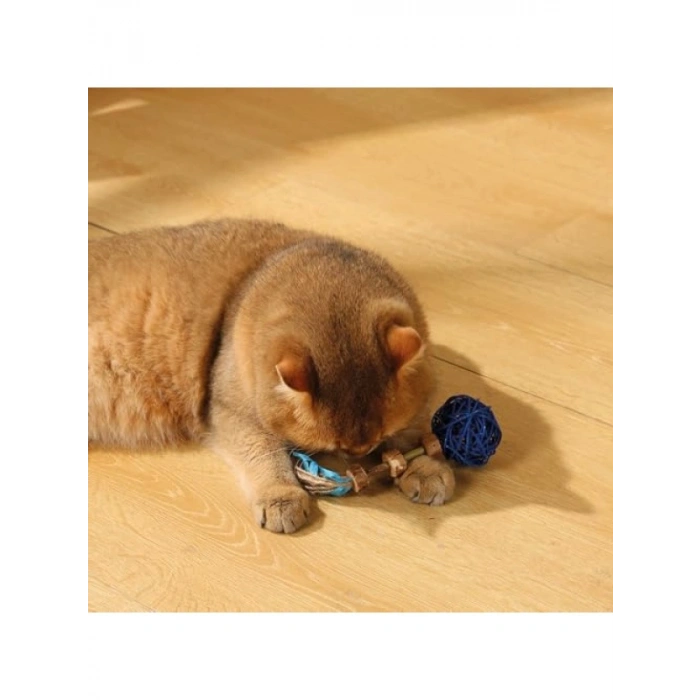 Güvenli ve Toksik Olmayan Kedi Oyuncağı, Matatabi Modeli