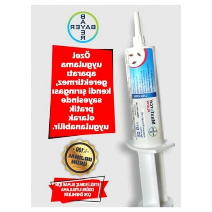Hamamböceği İle Mücadele İçin Etkili Jel İlaç, Hızlı Sonuçlar
