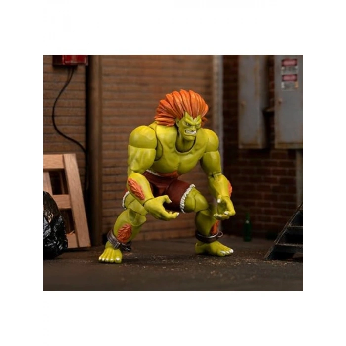 Hareketli Aksiyon Figürü, Street Fighter Temalı Koleksiyon Parçası
