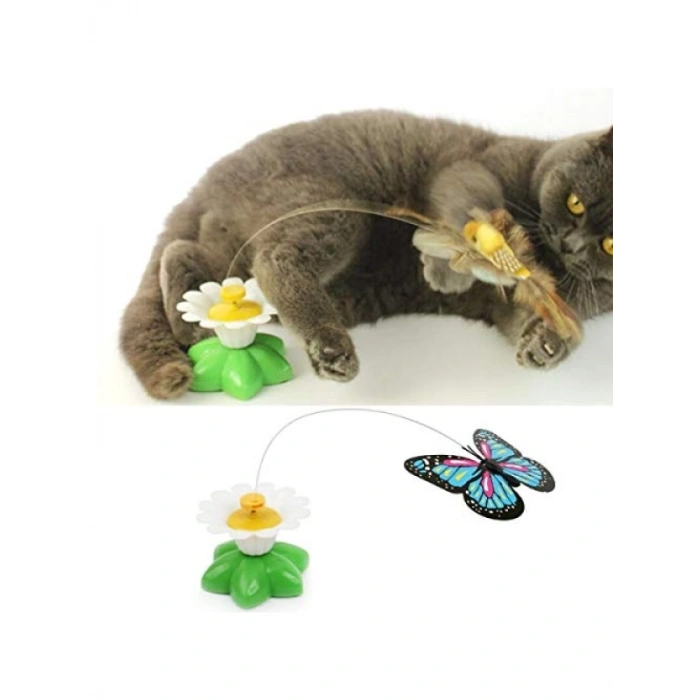 Hareketli Dönen Kelebek Kedi Oyuncağı