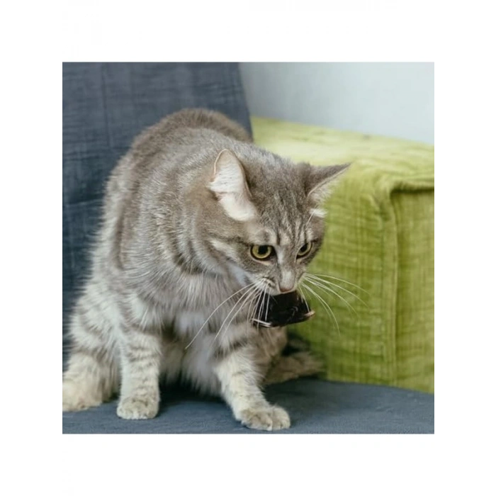 Hareketli Fare Şeklinde Peluş Kedi Oyuncağı, Zihinsel Uyarım İçin