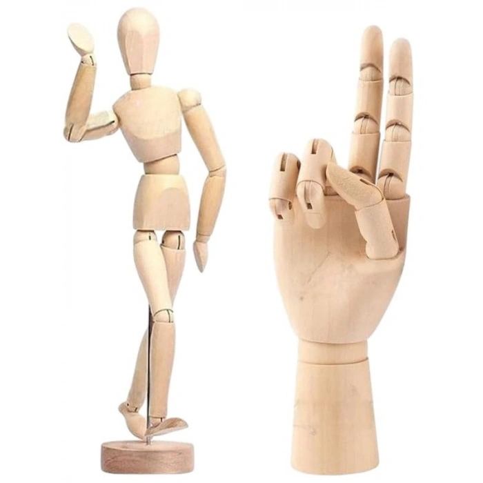 Hareketli İnsan ve El Modeli, 20 cm ve 25 cm Boyutunda