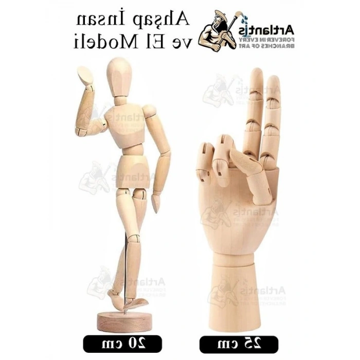 Hareketli İnsan ve El Modeli, 20 cm ve 25 cm Boyutunda