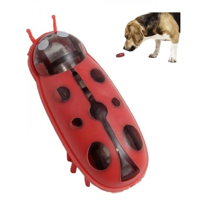 Hareketli Uğur Böceği Şeklinde Kedi Oyuncağı