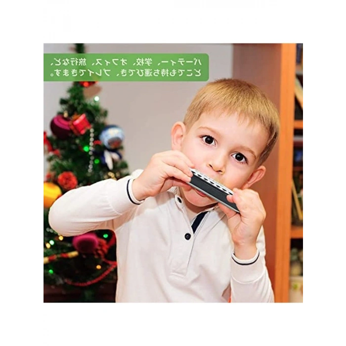 Harmonica ile Müzikal Anlar Yaşayın, T10-1-BK Modeli