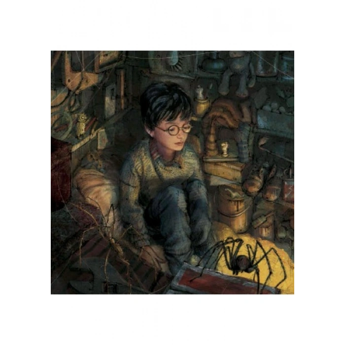Harry Potter: Sihir Tarihinde Bir Yolculuk