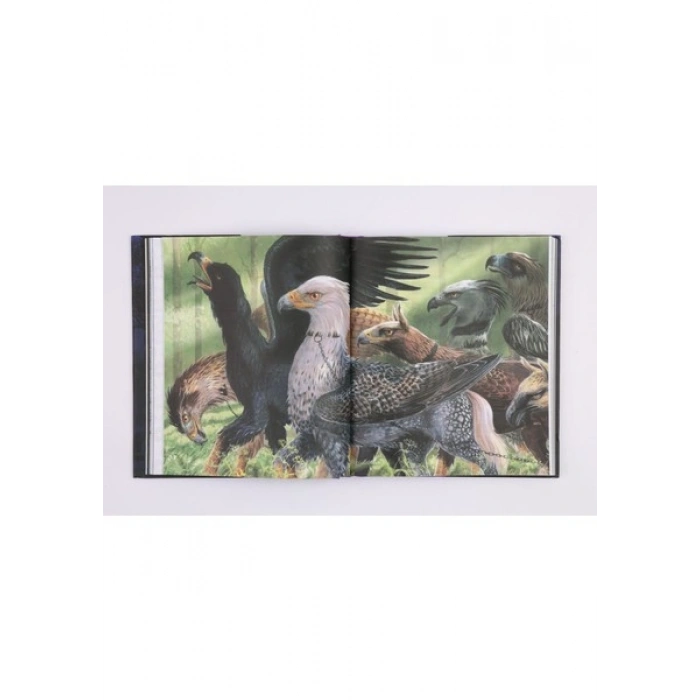 Harry Potter ve Azkaban Tutsağı (Ciltli Resilmli Özel Baskı) - J. K. Rowling