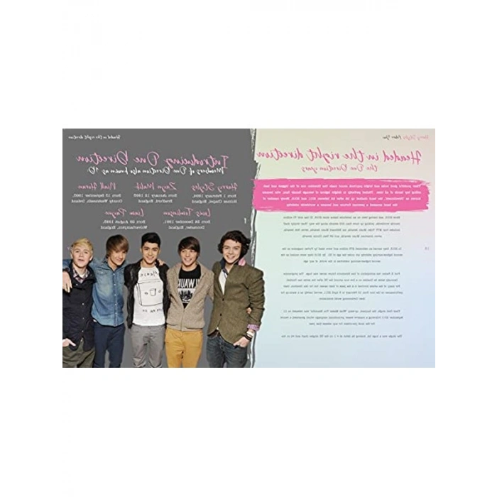 Harry Styles: Adore You, Resimli Biyografi