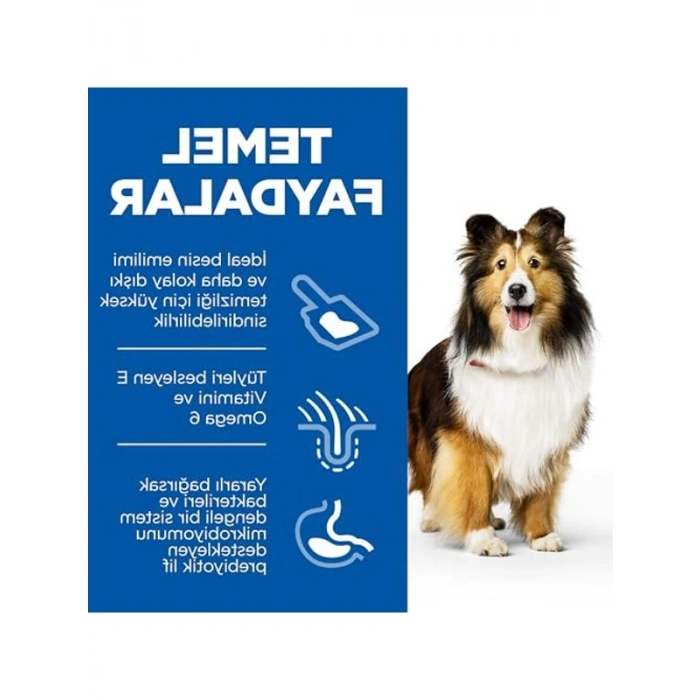 Hassas Deri ve Mide İçin Tavuklu Köpek Maması 14 kg
