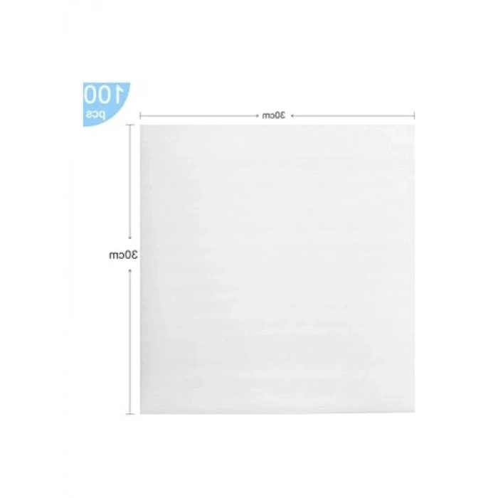 Hava Kabarcıklı Köpük Torbası, 30cmX30cm, 100lü