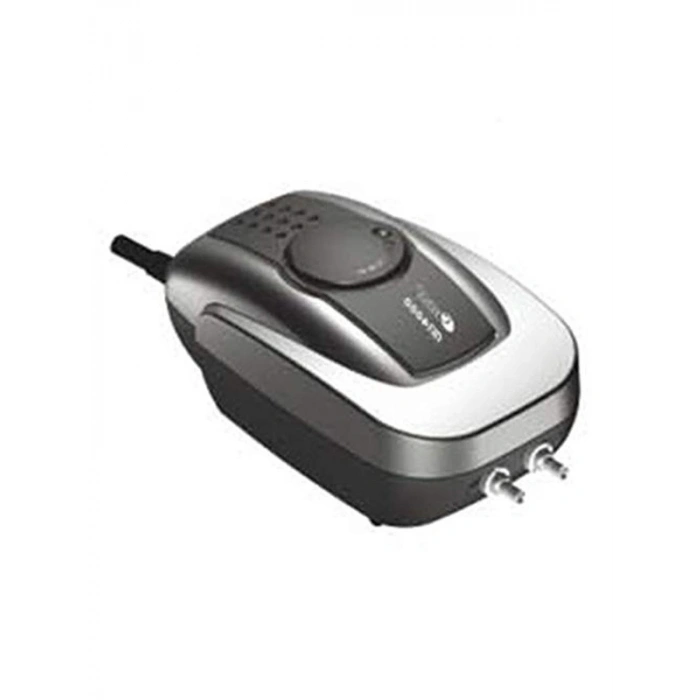 Hava Motoru, Çift Çıkış Özellikli