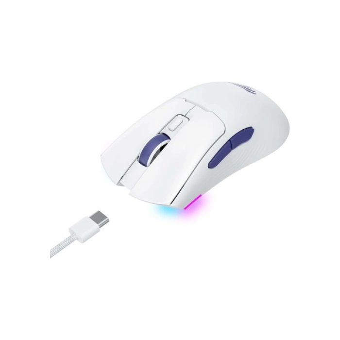 Havit Gamenote MS966WB Profesyonel Rgb Wireless Gaming Oyuncu Mouse 4 Modlu