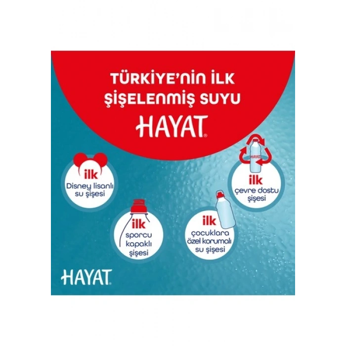 Hayat Küçük Çocuklara Özel Ambalajlı Su 24x330 ML