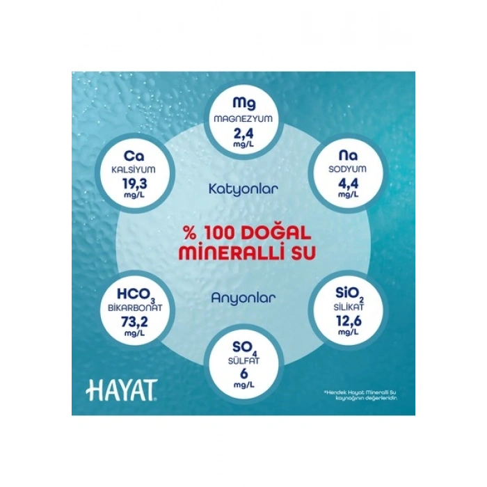 Hayat Küçük Çocuklara Özel Ambalajlı Su 24x330 ML