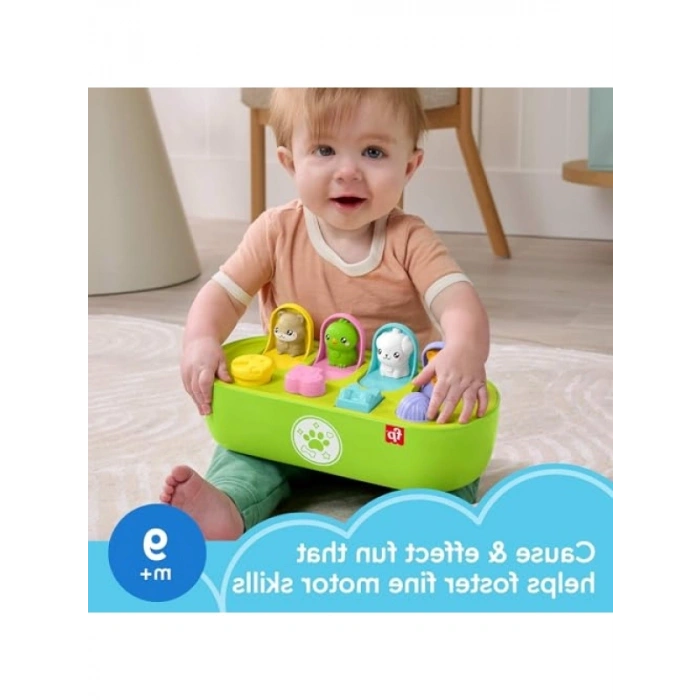 Hayvan Dostlar Temalı Aktivite Oyuncağı - 9 Ay ve Üzeri