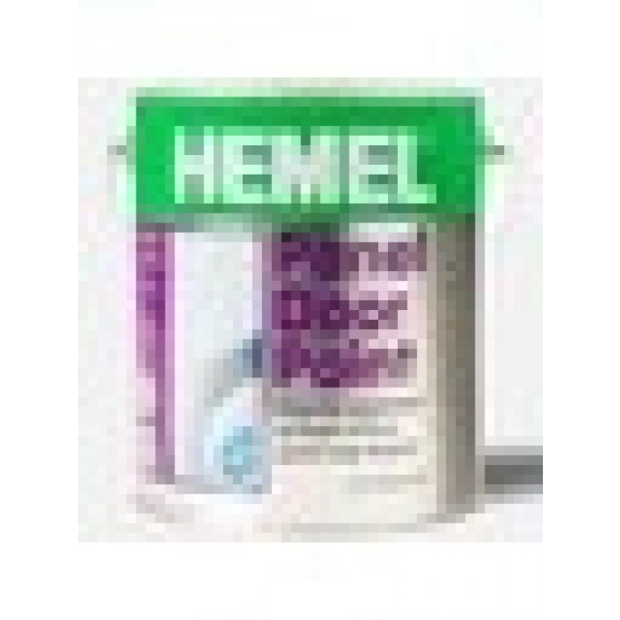 HEMEL Panel Door Paint P.White 2.5 Litre
