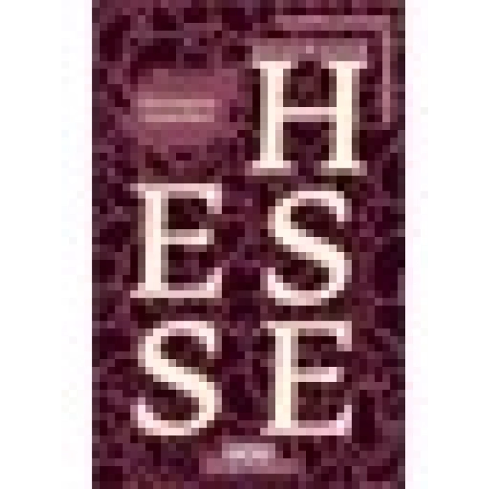 Hermann Lauscher - Hermann Hesse