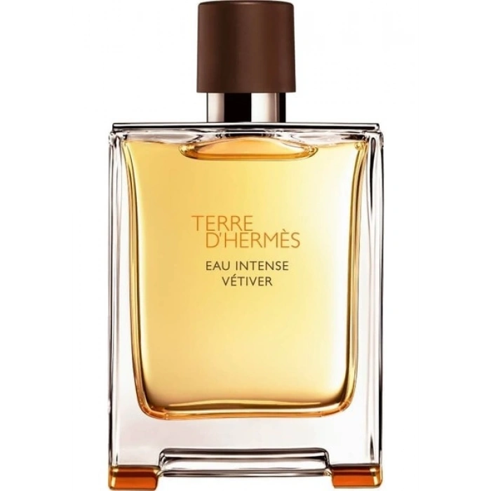 Hermes Terre DHermes Eau Intense Vetiver Edp 100 ml Erkek Parfümü