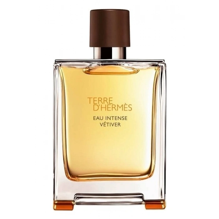 Hermes Terre DHermes Eau Intense Vetiver Edp 100 ml Erkek Parfümü
