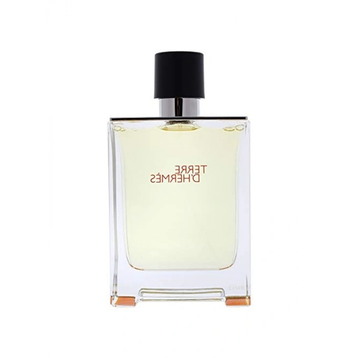 Hermes Terre DHermes EDT 100ml Erkek Parfümü