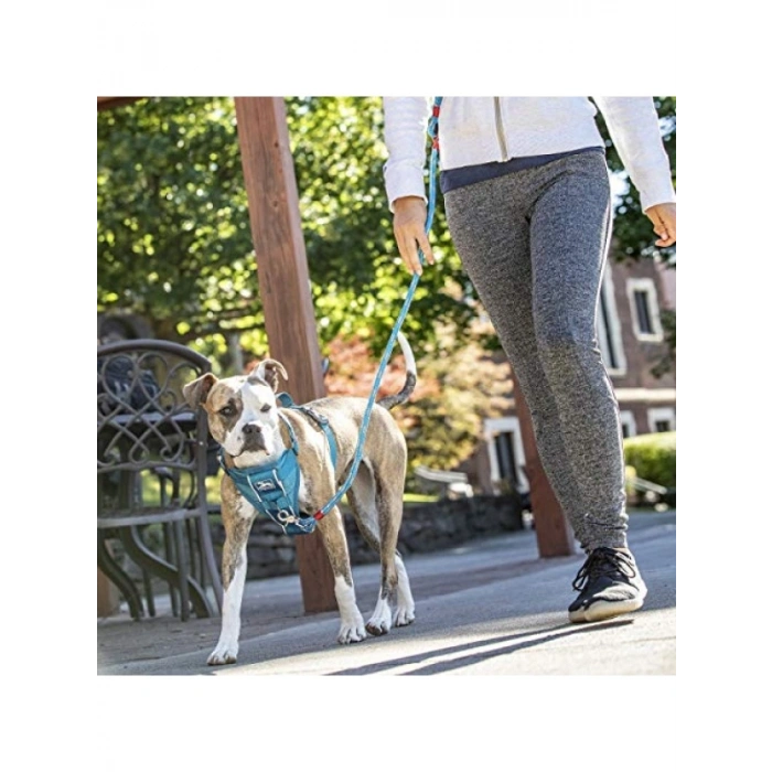 Hızlı Kilitli Köpek Koşum Takımı - Mavi, Orta Boy