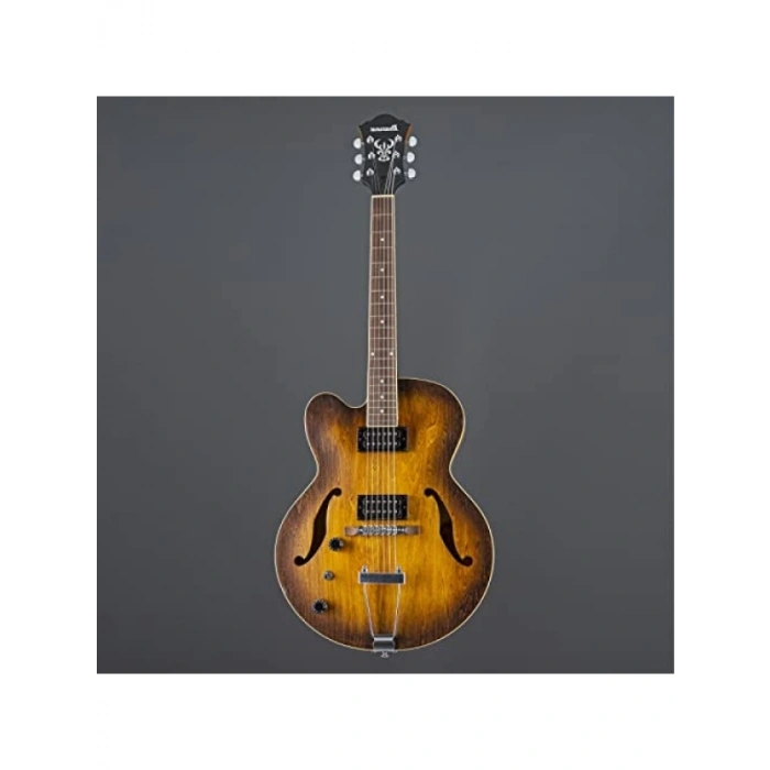 Hollow Body Elektro Gitar - Yüksek Ses Performansı