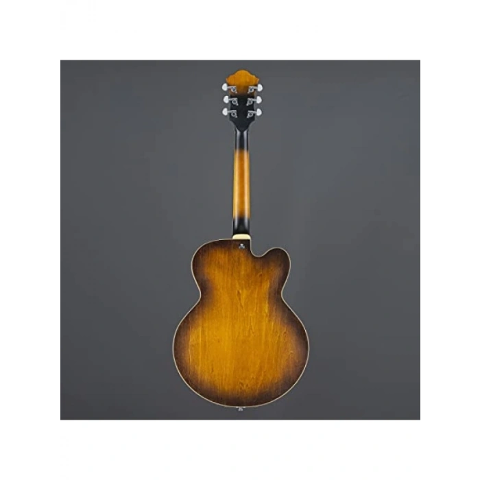 Hollow Body Elektro Gitar - Yüksek Ses Performansı